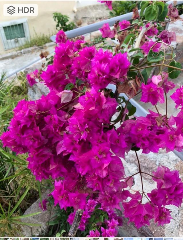 Veranda Blue - Poros Poros Town المظهر الخارجي الصورة