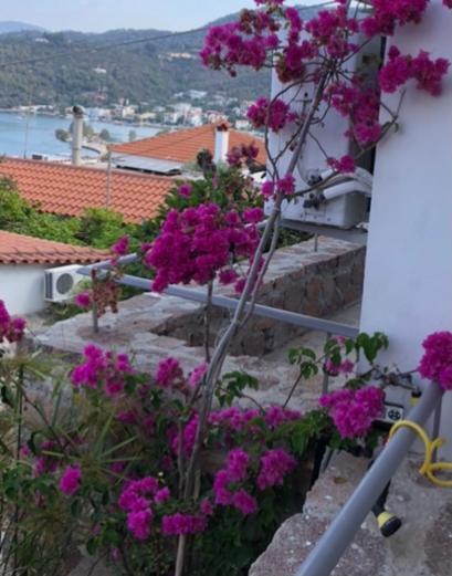Veranda Blue - Poros Poros Town المظهر الخارجي الصورة